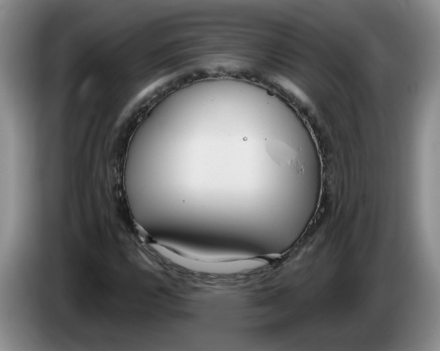 X0000083551112200703091548
