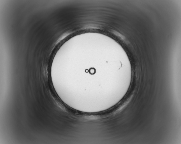 X0000083551113200703091548