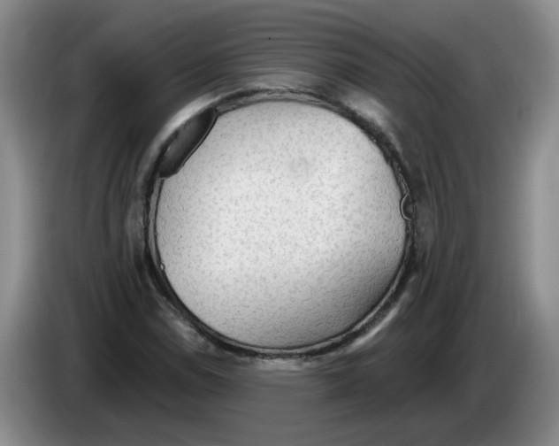 X0000083551114200703091548