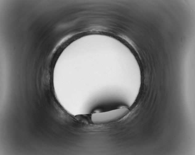 X0000083551115200703091548