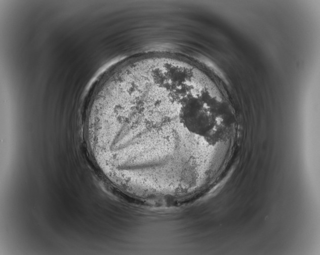 X0000083551117200703091548