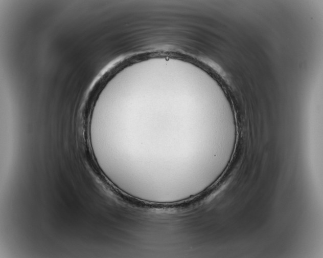 X0000083551118200703091548