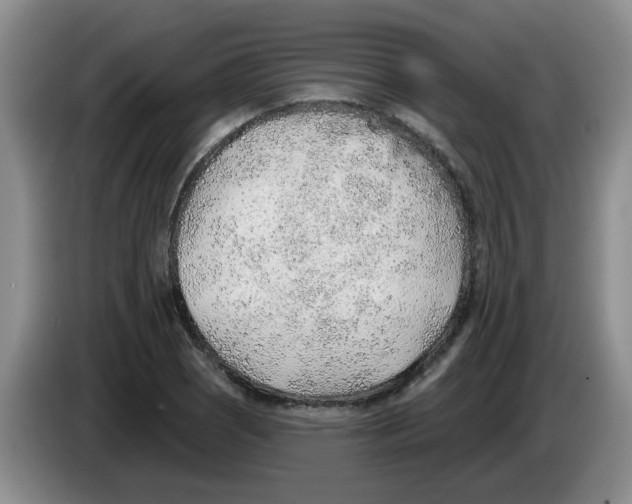X0000083551121200703091548