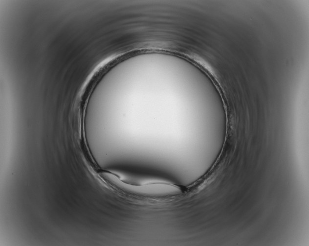 X0000083551123200703091548