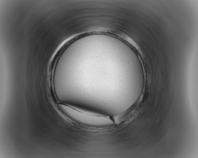 X0000083551124200703091548