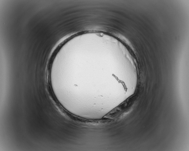 X0000083551125200703091548