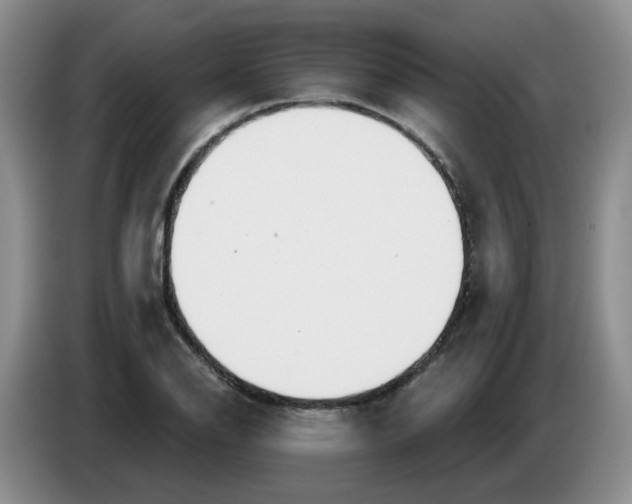X0000083551126200703091548