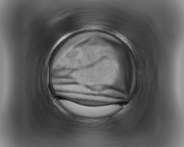 X0000083551127200703091548