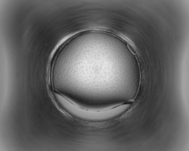 X0000083551128200703091548