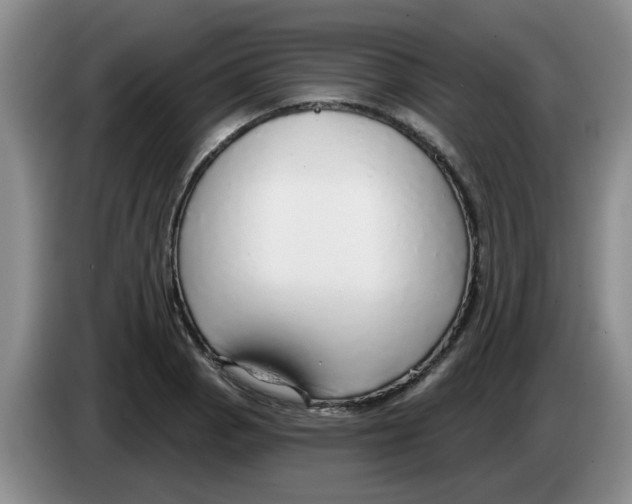 X0000083551129200703091548