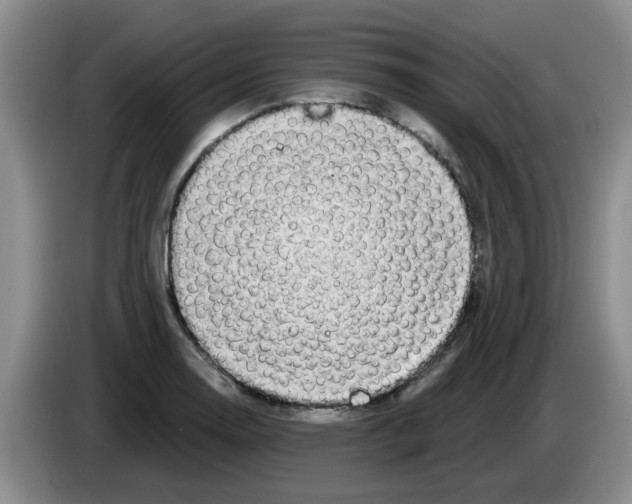 X0000083551130200703091548