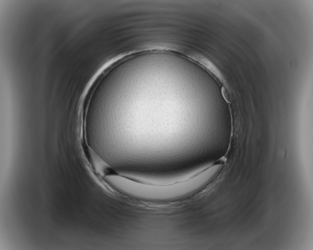 X0000083551132200703091548