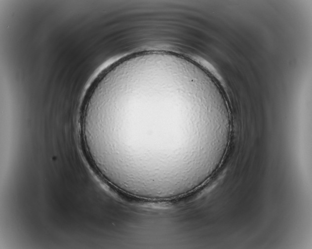 X0000083551133200703091548