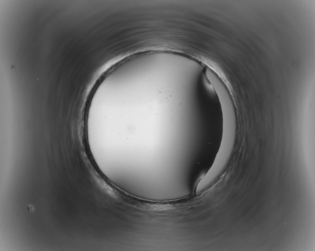 X0000083551136200703091548