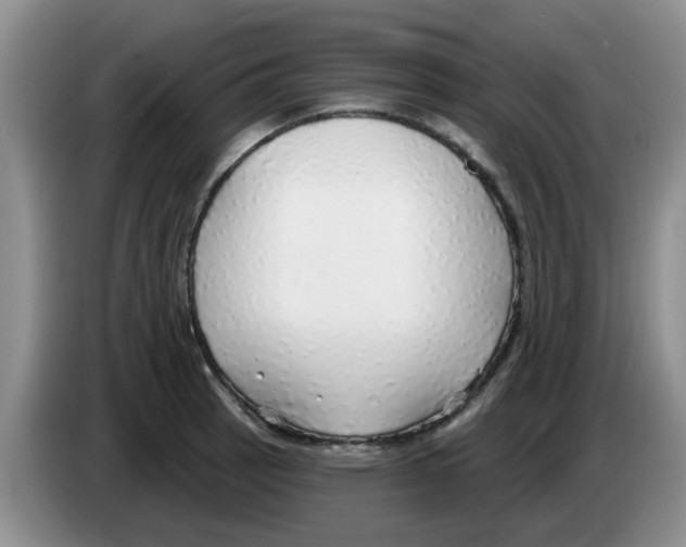 X0000083551137200703091548