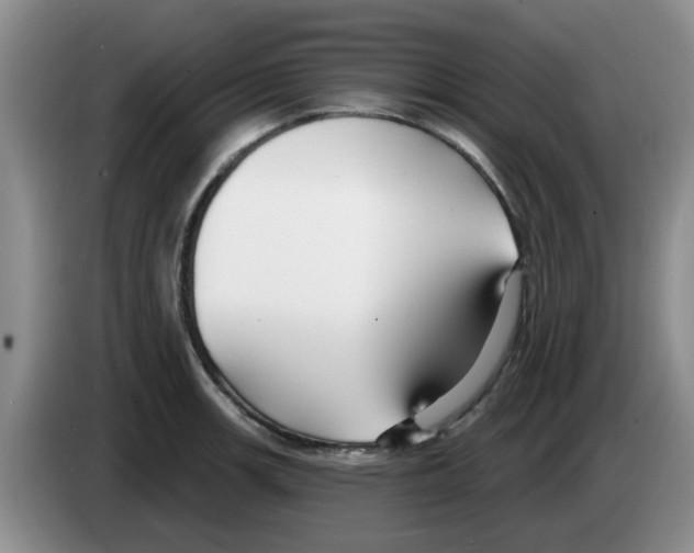 X0000083551139200703091548