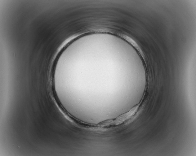 X0000083551141200703091549