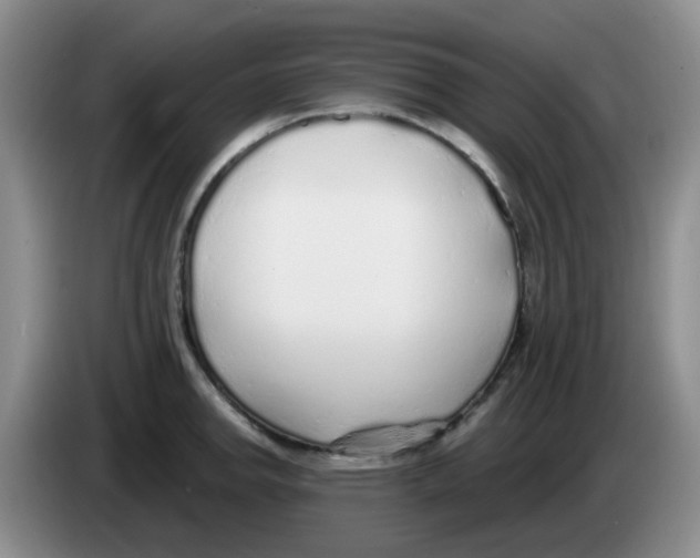 X0000083551142200703091549
