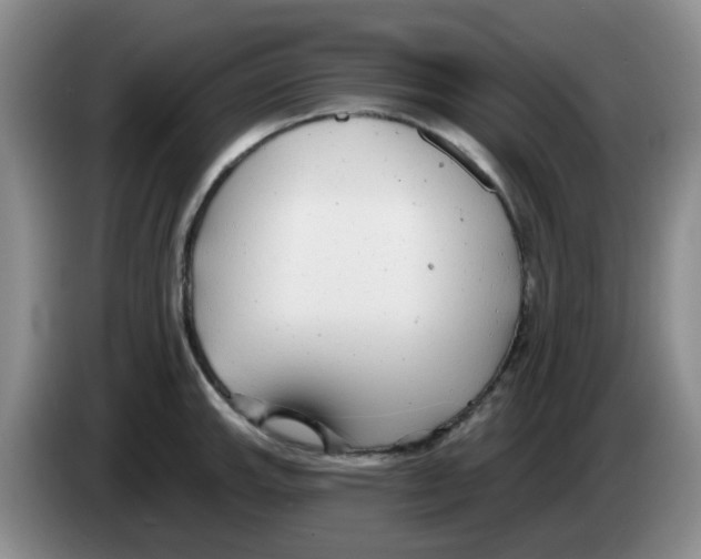 X0000083551143200703091549
