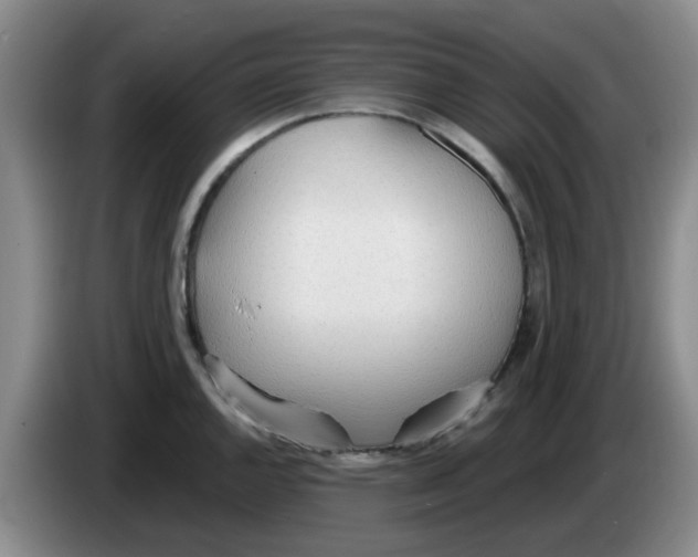 X0000083551144200703091549