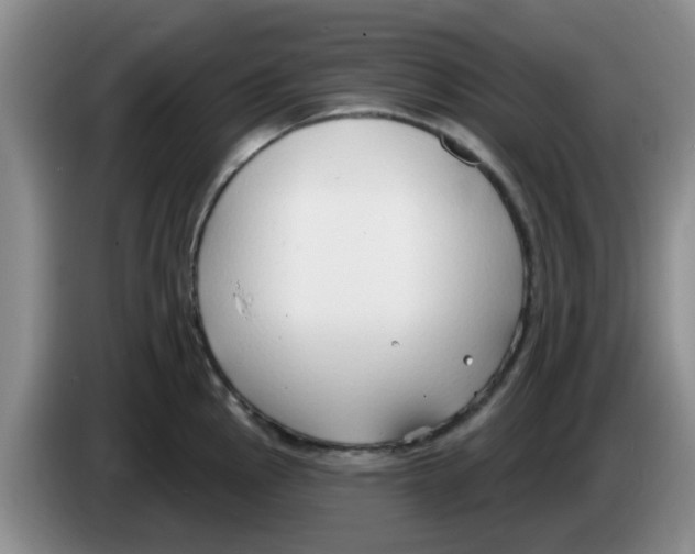 X0000083551145200703091549