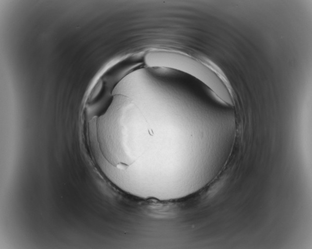 X0000083551146200703091549