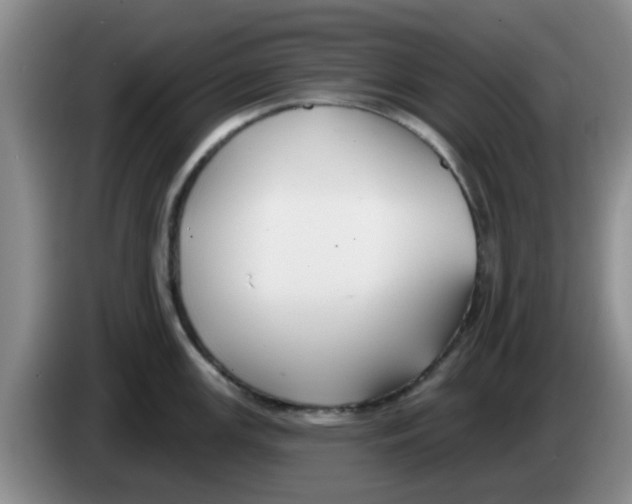 X0000083551147200703091549