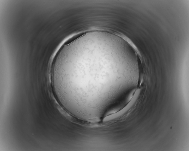 X0000083551148200703091549