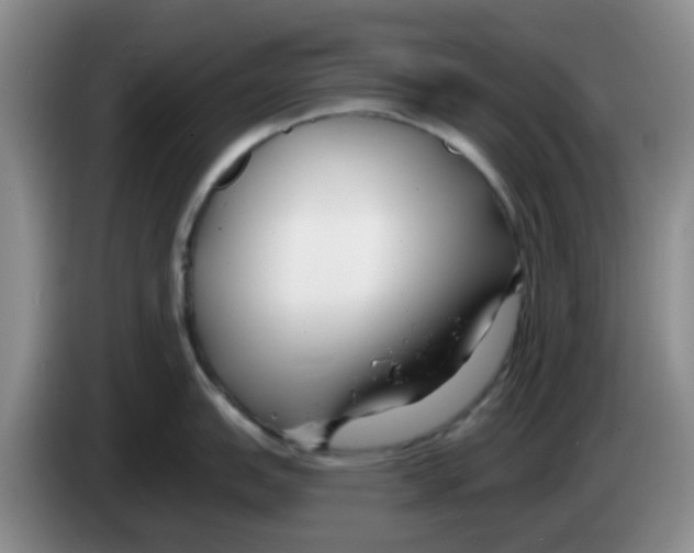 X0000083551151200703091549