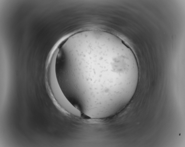 X0000083551152200703091549