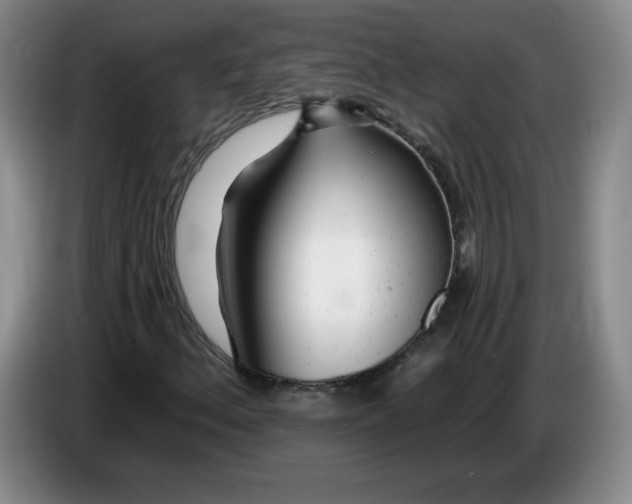 X0000083551156200703091548