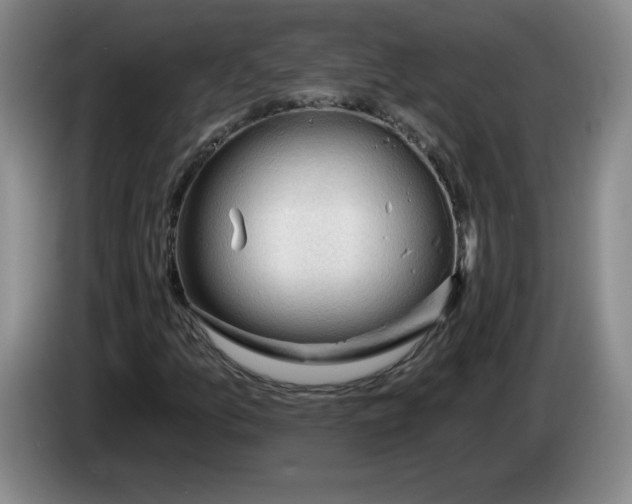 X0000083551157200703091548