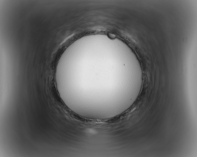 X0000083551158200703091548