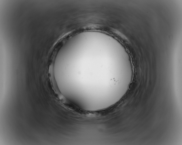 X0000083551160200703091548
