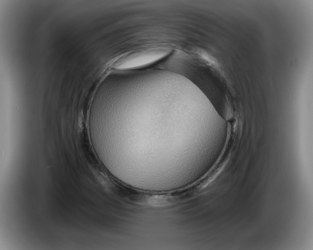 X0000083551161200703091548