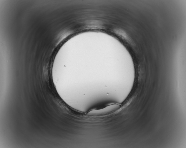 X0000083551162200703091548