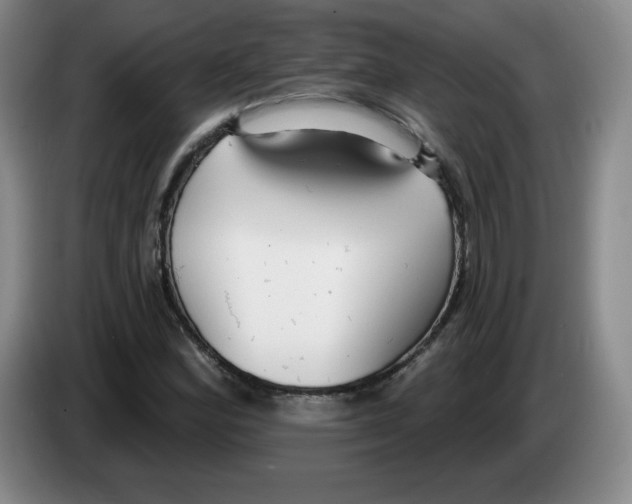 X0000083551164200703091548