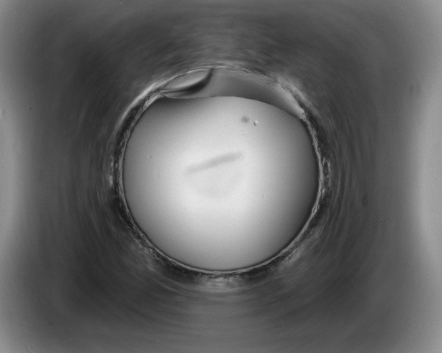 X0000083551165200703091548