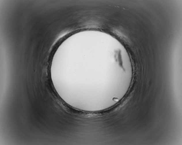 X0000083551166200703091548