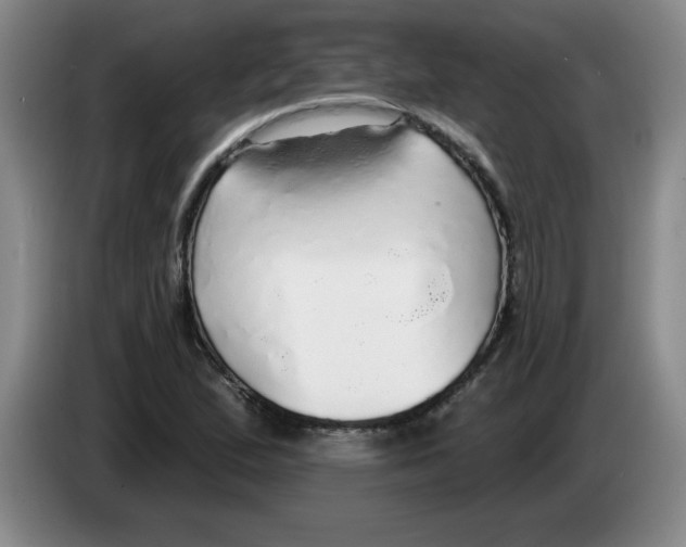 X0000083551167200703091548