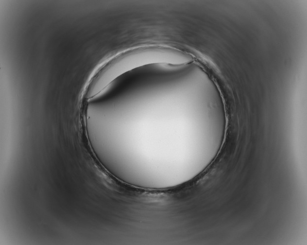 X0000083551168200703091548
