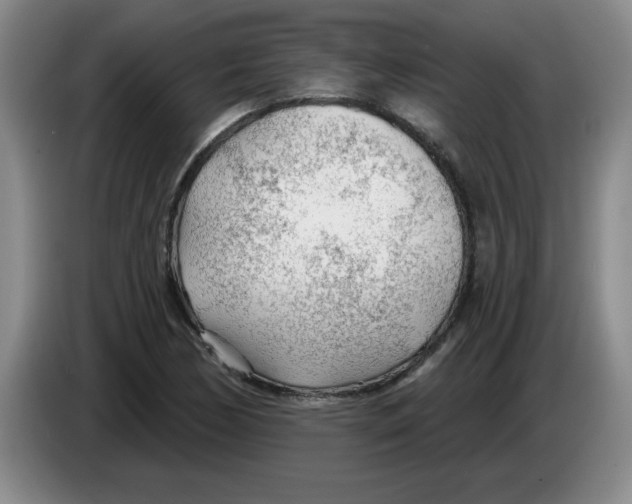 X0000083551170200703091548