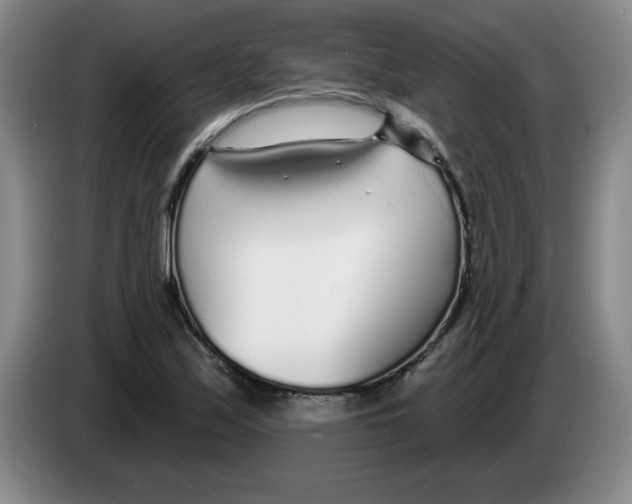 X0000083551171200703091548