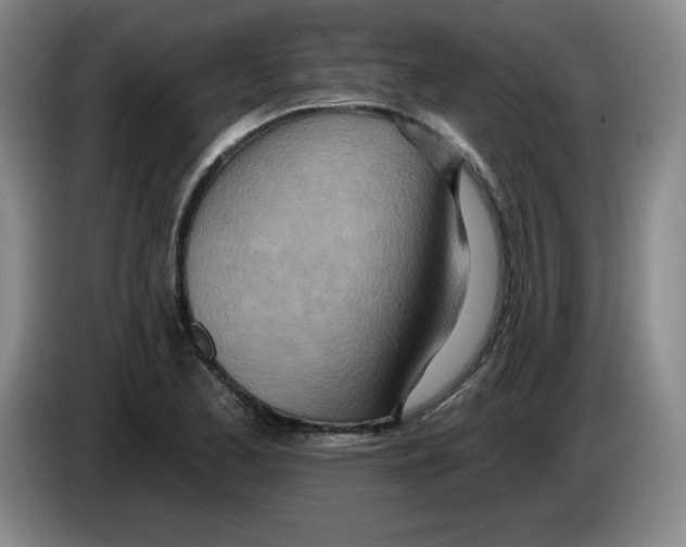 X0000083551173200703091548