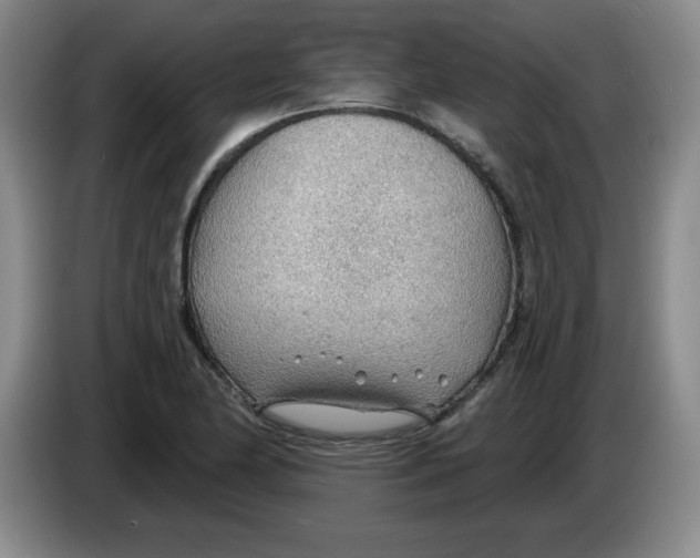 X0000083551174200703091548