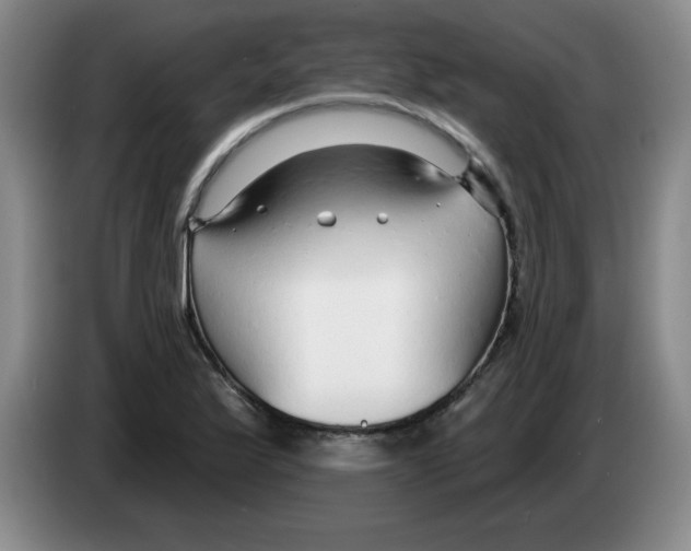 X0000083551175200703091548