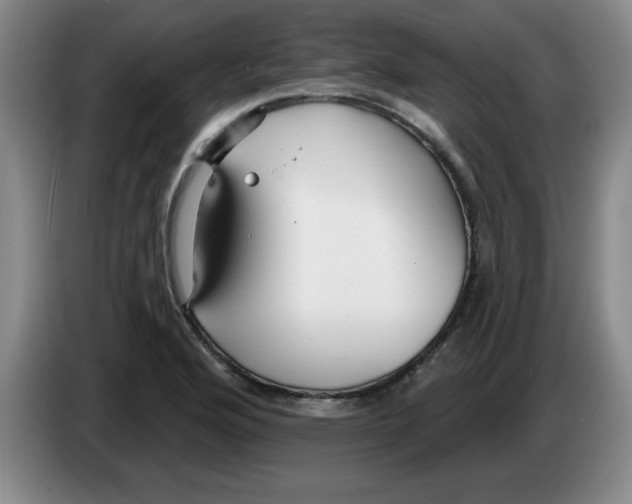 X0000083551176200703091548
