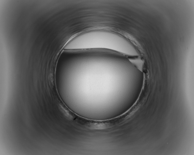 X0000083551177200703091548