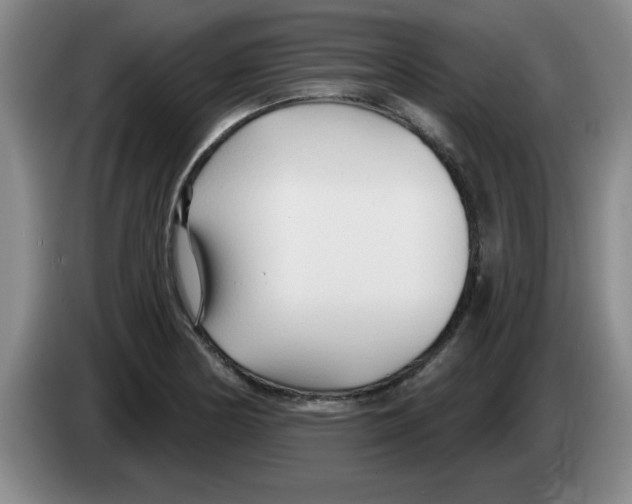 X0000083551178200703091548