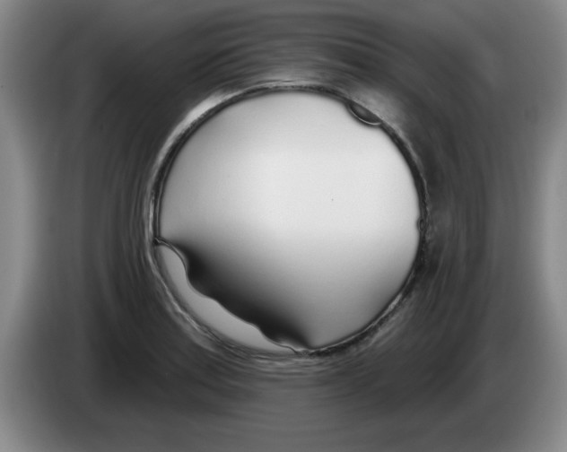 X0000083551179200703091548